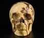 Preview: Outback Jasper Skull